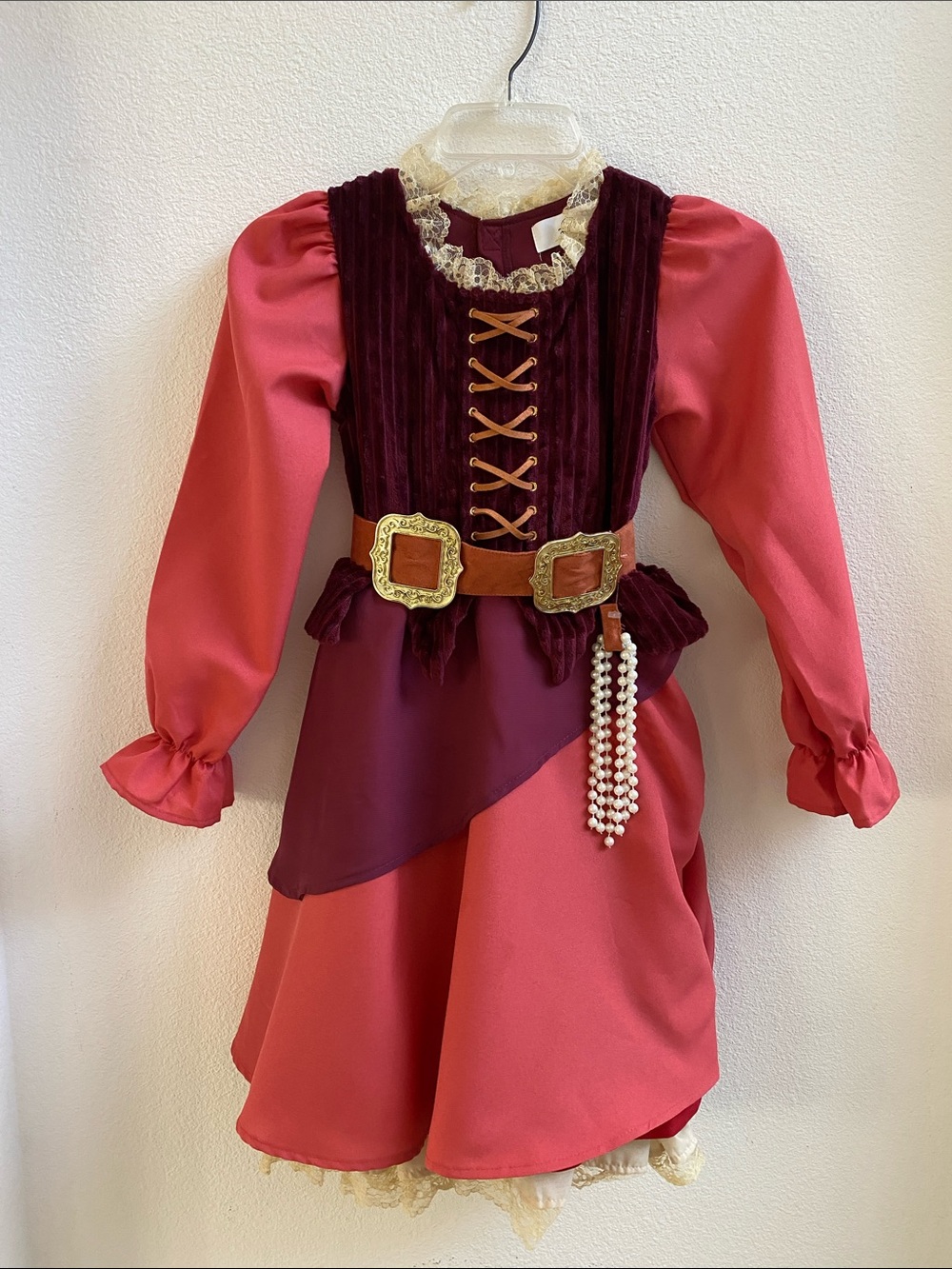Disney Burgundy and Pink Pirate Princess Costume